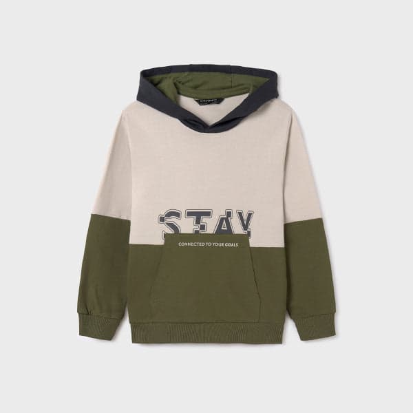 CREAM & ARMY GREEN L/S  BOYS PULLOVER HOODIE Image