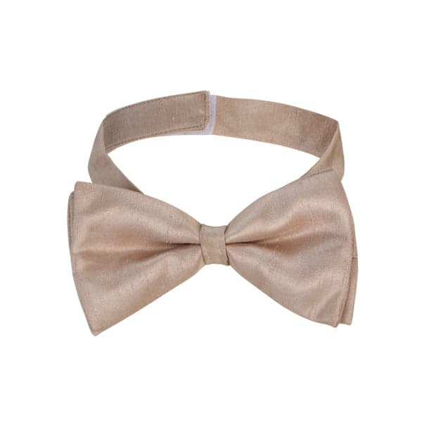 BROWN BOW TIE Image