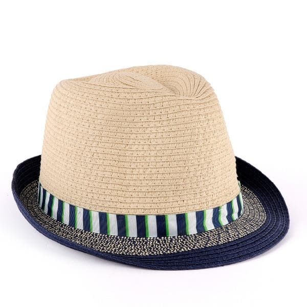 BLUE FEDORA HAT Image
