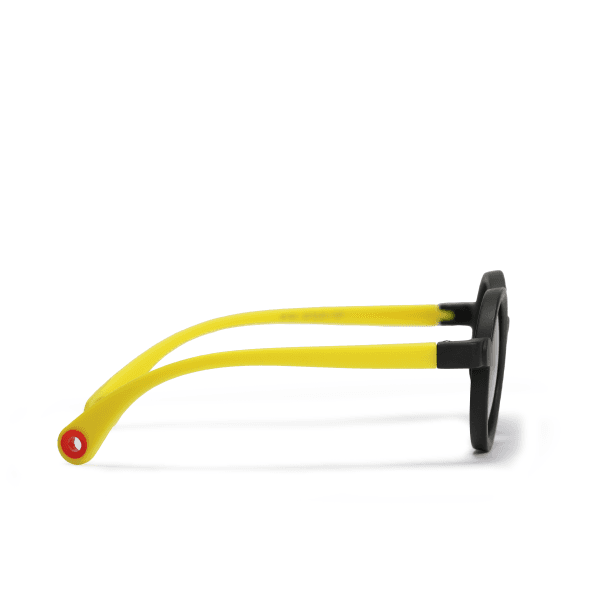BLACK FRAME SUNGLASS