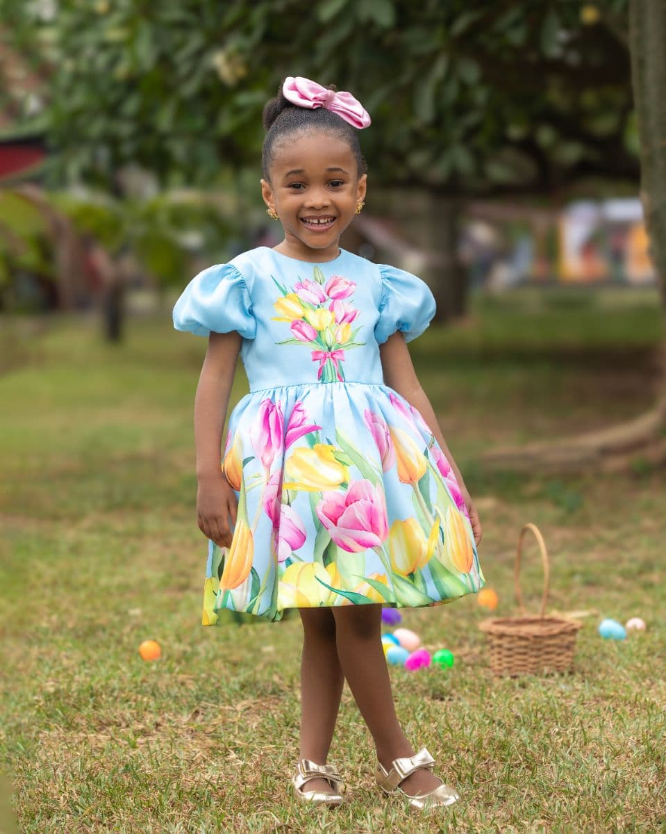 NONYE DRESS Image